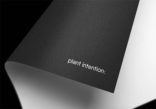 MUSE Advertising Awards - Plant Intention