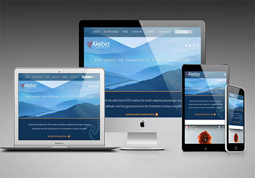 MUSE Advertising Awards - Akebia Therapeutics Website