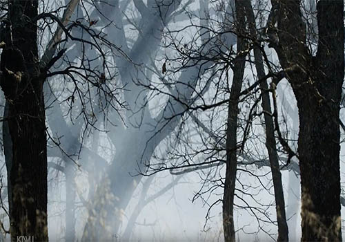 MUSE Winner - Portrait of a Landscape THE FLINT HILLS