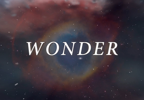 MUSE Advertising Awards - Wonder Video Campaign