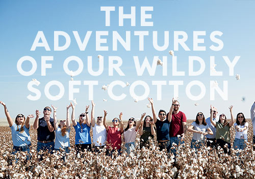 MUSE Advertising Awards - The Adventures of Our Wildly Soft Cotton