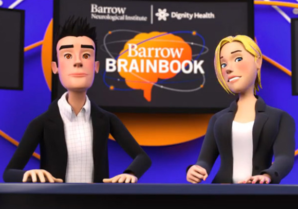 MUSE Advertising Awards - The Barrow Brainbook
